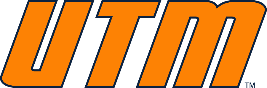 Tennessee-Martin Skyhawks 2007-2020 Wordmark Logo v2 t shirts iron on transfers